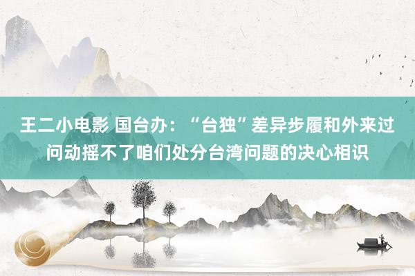 王二小电影 国台办：“台独”差异步履和外来过问动摇不了咱们处分台湾问题的决心相识