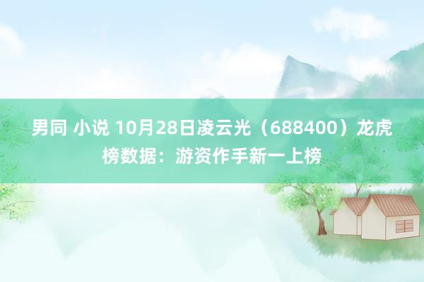 男同 小说 10月28日凌云光（688400）龙虎榜数据：游资作手新一上榜