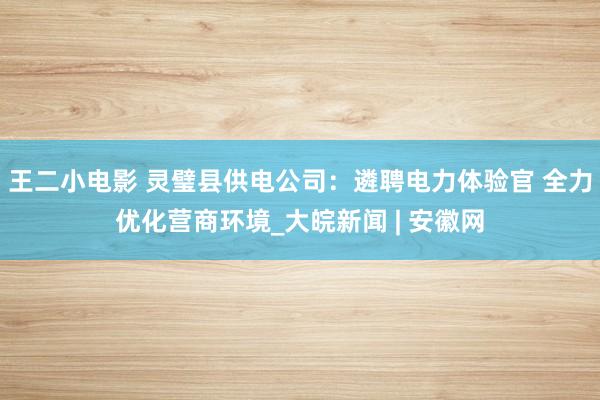 王二小电影 灵璧县供电公司：遴聘电力体验官 全力优化营商环境_大皖新闻 | 安徽网