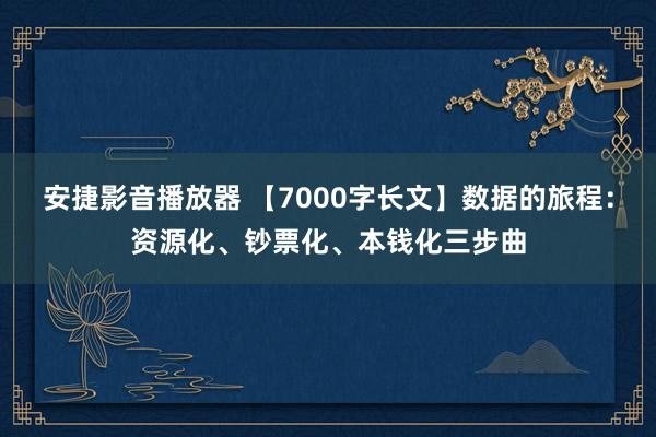 安捷影音播放器 【7000字长文】数据的旅程：资源化、钞票化、本钱化三步曲