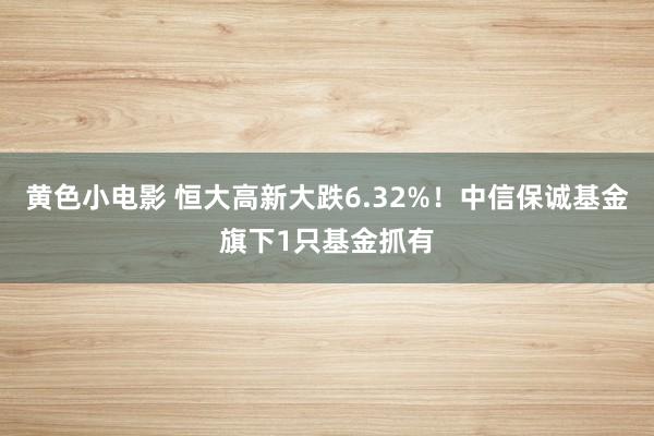 黄色小电影 恒大高新大跌6.32%！中信保诚基金旗下1只基金抓有