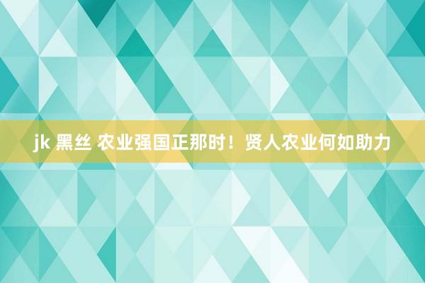 jk 黑丝 农业强国正那时！贤人农业何如助力