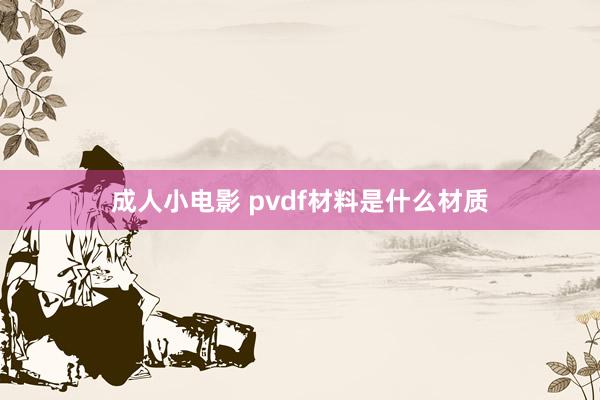 成人小电影 pvdf材料是什么材质