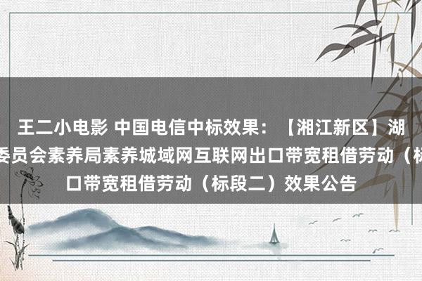 王二小电影 中国电信中标效果：【湘江新区】湖南湘江新区搞定委员会素养局素养城域网互联网出口带宽租借劳动（标段二）效果公告