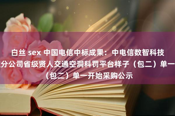 白丝 sex 中国电信中标成果：中电信数智科技有限公司安徽分公司省级贤人交通空洞科罚平台样子（包二）单一开始采购公示