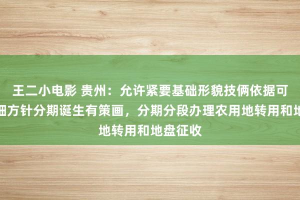 王二小电影 贵州：允许紧要基础形貌技俩依据可研批复细方针分期诞生有策画，分期分段办理农用地转用和地盘征收