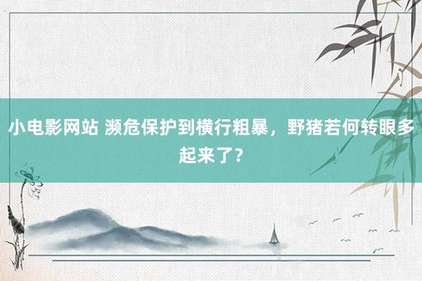 小电影网站 濒危保护到横行粗暴，野猪若何转眼多起来了？