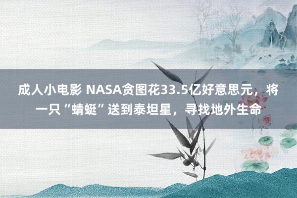 成人小电影 NASA贪图花33.5亿好意思元，将一只“蜻蜓”送到泰坦星，寻找地外生命