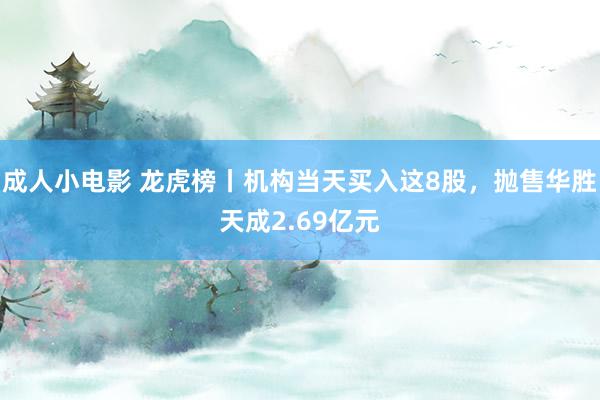 成人小电影 龙虎榜丨机构当天买入这8股，抛售华胜天成2.69亿元