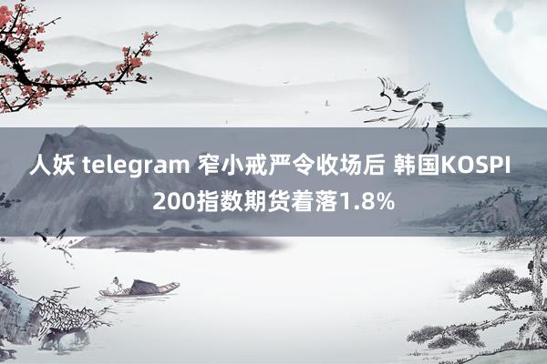 人妖 telegram 窄小戒严令收场后 韩国KOSPI 200指数期货着落1.8%