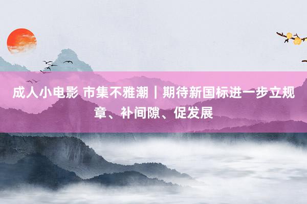 成人小电影 市集不雅潮｜期待新国标进一步立规章、补间隙、促发展