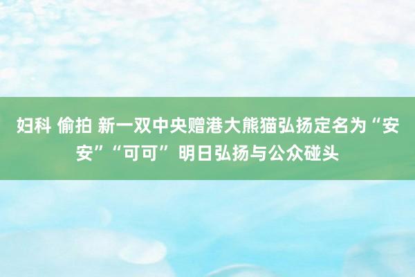 妇科 偷拍 新一双中央赠港大熊猫弘扬定名为“安安”“可可” 明日弘扬与公众碰头