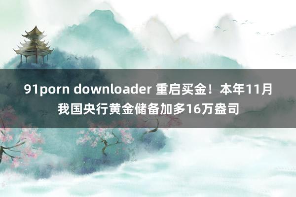 91porn downloader 重启买金！本年11月我国央行黄金储备加多16万盎司