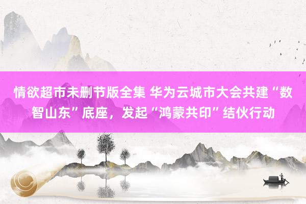 情欲超市未删节版全集 华为云城市大会共建“数智山东”底座，发起“鸿蒙共印”结伙行动