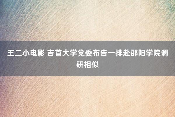 王二小电影 吉首大学党委布告一排赴邵阳学院调研相似