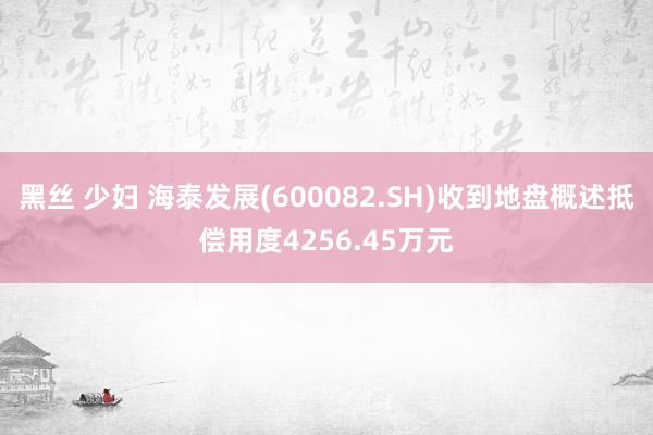 黑丝 少妇 海泰发展(600082.SH)收到地盘概述抵偿用度4256.45万元