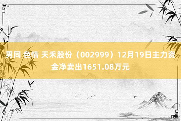 男同 色情 天禾股份（002999）12月19日主力资金净卖出1651.08万元