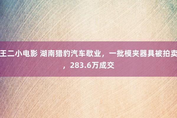 王二小电影 湖南猎豹汽车歇业，一批模夹器具被拍卖，283.6万成交