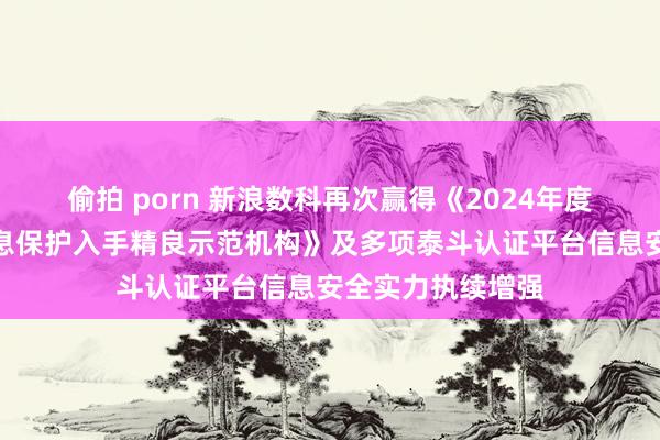 偷拍 porn 新浪数科再次赢得《2024年度个东谈主金融信息保护入手精良示范机构》及多项泰斗认证平台信息安全实力执续增强