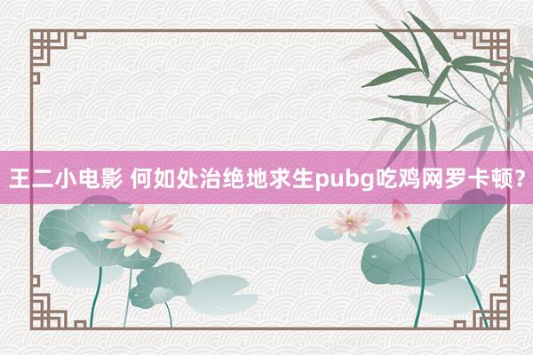 王二小电影 何如处治绝地求生pubg吃鸡网罗卡顿？