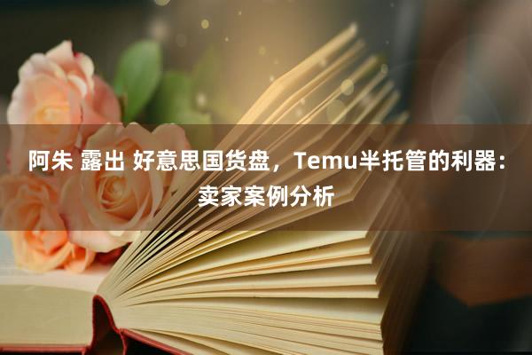 阿朱 露出 好意思国货盘，Temu半托管的利器：卖家案例分析