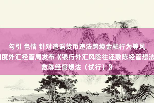 勾引 色情 针对造谣货币违法跨境金融行为等风险往还！国度外汇经管局发布《银行外汇风险往还敷陈经管想法（试行）》