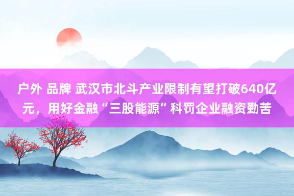 户外 品牌 武汉市北斗产业限制有望打破640亿元，用好金融“三股能源”科罚企业融资勤苦