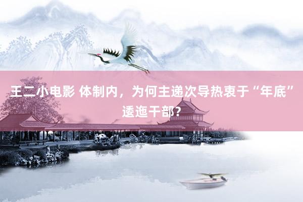 王二小电影 体制内，为何主递次导热衷于“年底”逶迤干部？