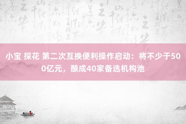 小宝 探花 第二次互换便利操作启动：将不少于500亿元，酿成40家备选机构池