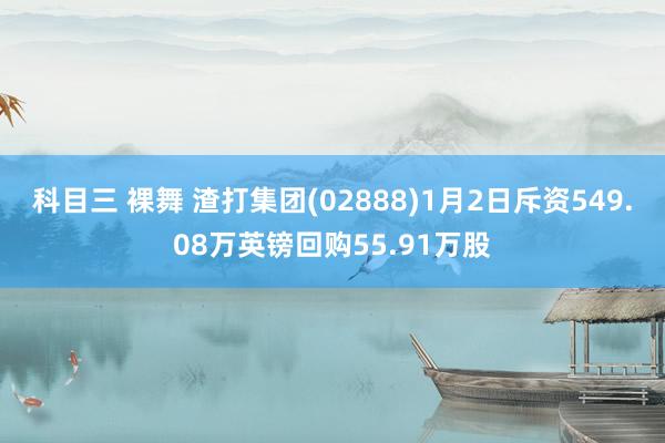 科目三 裸舞 渣打集团(02888)1月2日斥资549.08万英镑回购55.91万股