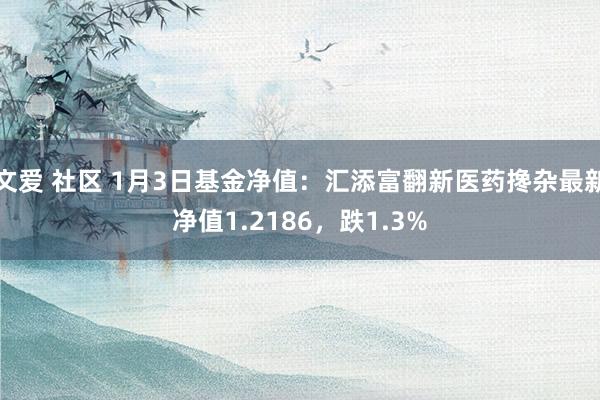 文爱 社区 1月3日基金净值：汇添富翻新医药搀杂最新净值1.2186，跌1.3%