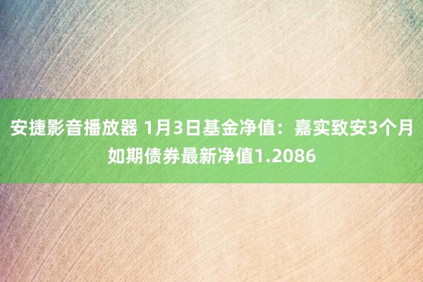 安捷影音播放器 1月3日基金净值：嘉实致安3个月如期债券最新净值1.2086