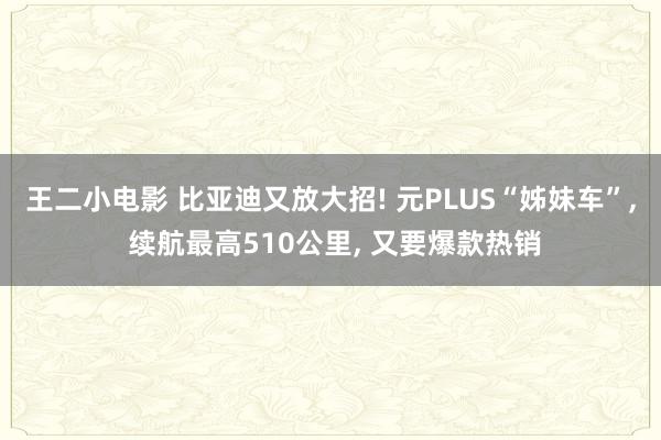 王二小电影 比亚迪又放大招! 元PLUS“姊妹车”， 续航最高510公里， 又要爆款热销