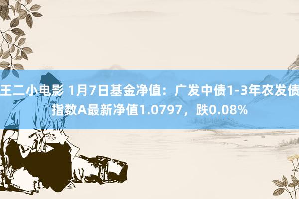 王二小电影 1月7日基金净值：广发中债1-3年农发债指数A最新净值1.0797，跌0.08%