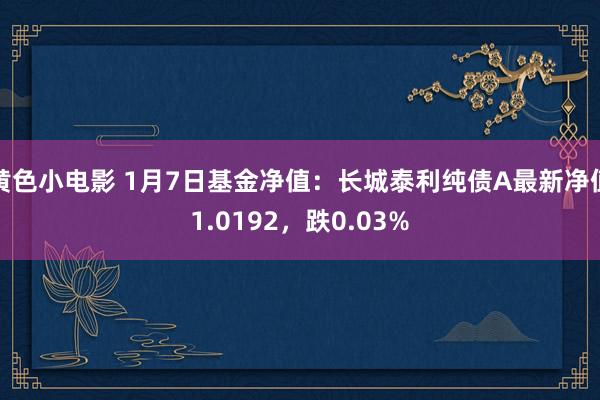 黄色小电影 1月7日基金净值：长城泰利纯债A最新净值1.0192，跌0.03%