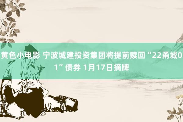 黄色小电影 宁波城建投资集团将提前赎回“22甬城01”债券 1月17日摘牌