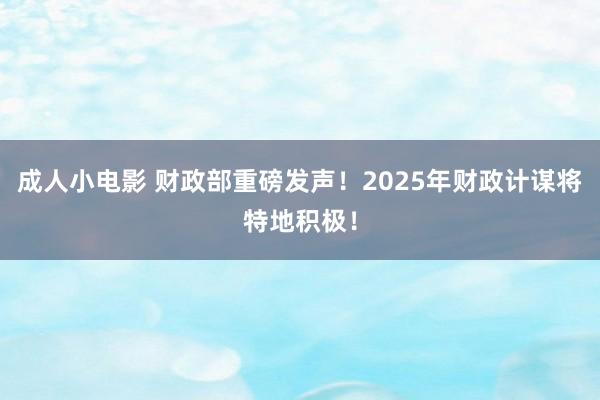 成人小电影 财政部重磅发声！2025年财政计谋将特地积极！