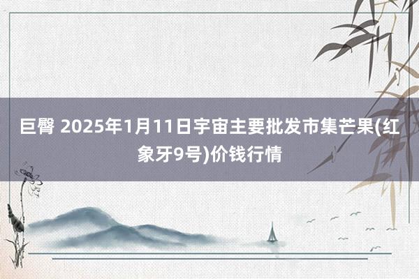 巨臀 2025年1月11日宇宙主要批发市集芒果(红象牙9号)价钱行情