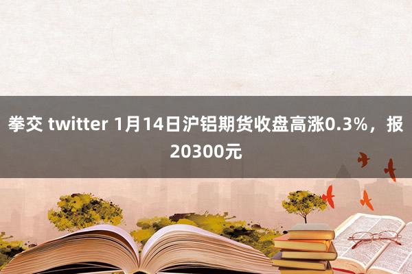 拳交 twitter 1月14日沪铝期货收盘高涨0.3%，报20300元