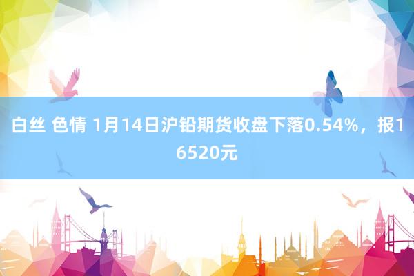 白丝 色情 1月14日沪铅期货收盘下落0.54%，报16520元