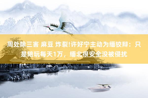 周处除三害 麻豆 炸裂!许好宁主动为缅狡辩：只是陪玩每天1万，缅北很安全没被侵扰