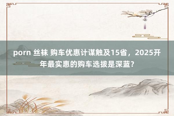 porn 丝袜 购车优惠计谋触及15省，2025开年最实惠的购车选拔是深蓝？