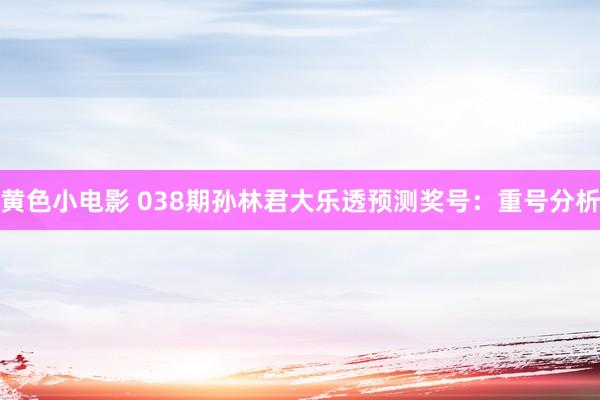黄色小电影 038期孙林君大乐透预测奖号：重号分析